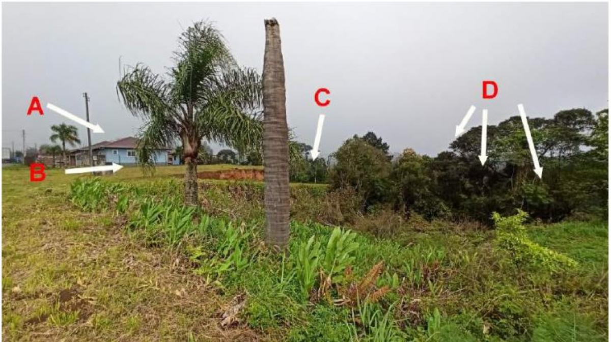 imóvel urbano, localizado na Rod. Acesso Sul Pedro Bayerl, n°. 1.464, bairro Serra Alta, em São Bento do Sul/SC