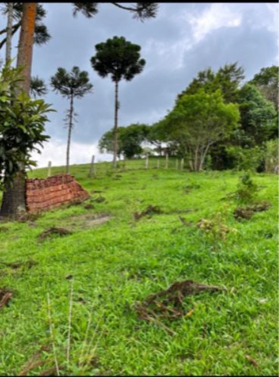 Fração Ideal de 5.902,60 m², de propriedade de Marilene Heiden, do imóvel descrito na matrícula n. 45.880, do Cartório de Registro de Imóveis de São Bento do Sul/SC