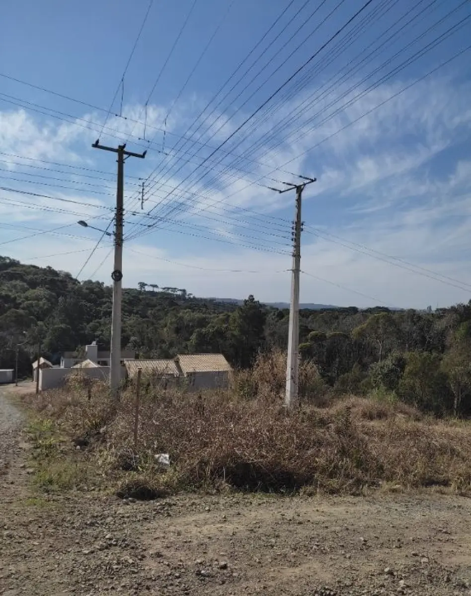 LOTE 001 - Imóvel de 11.640,40m², Cento II Alto de Mafra,  MAfra/SC.