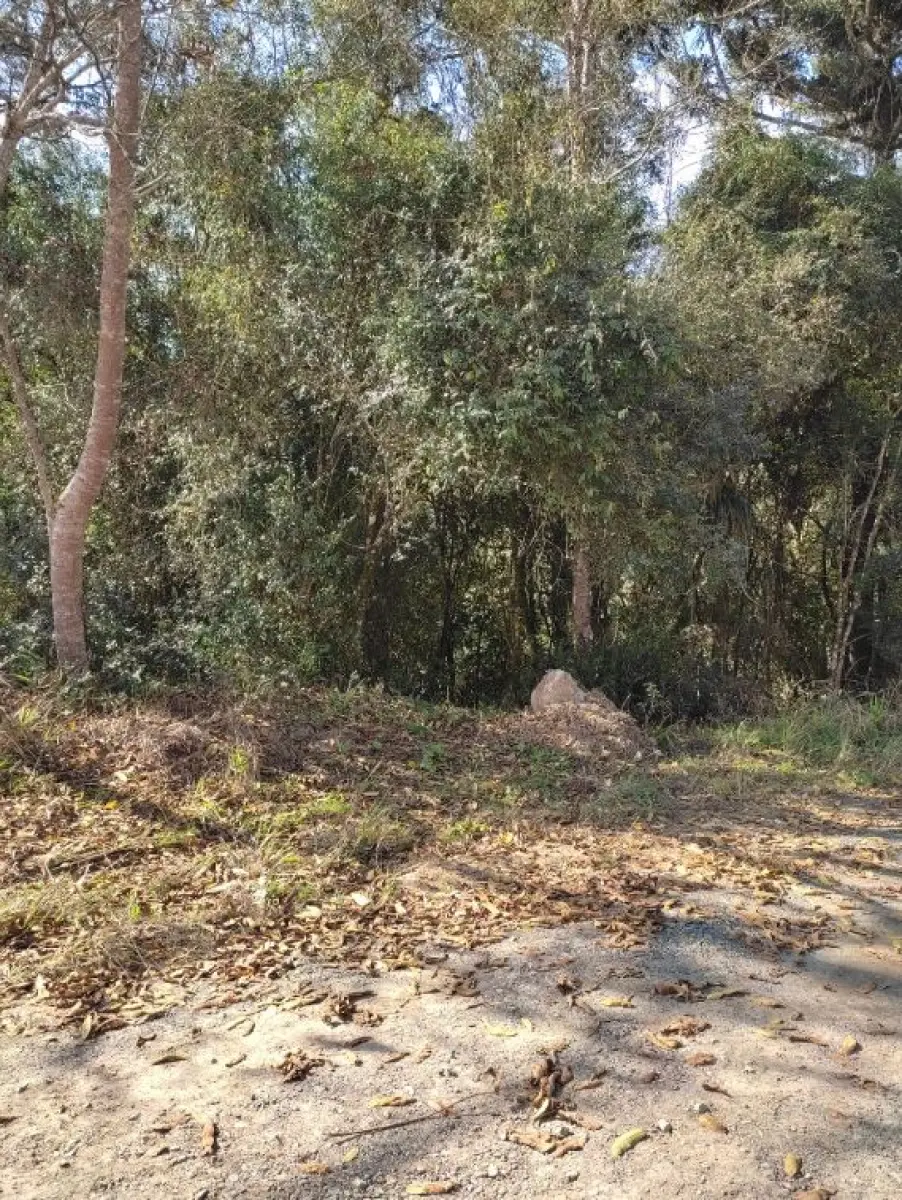 LOTE 001 - Imóvel de 11.640,40m², Cento II Alto de Mafra,  MAfra/SC.