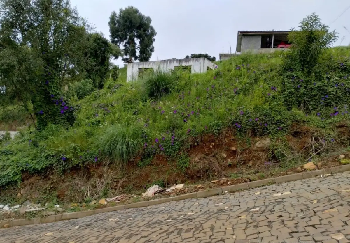 LOTE 001 - meação correspondente a Mario Vezaro (isto é 50% do terreno de 900,00 m² na esquina das ruas José Ramos com João Barilka, em Calmon/SC