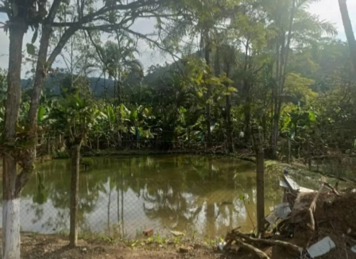 LOTE 0010 - Casa na Rua Joachim Parey Nº 24, Pedra de Amolar, Corupá/ SC.