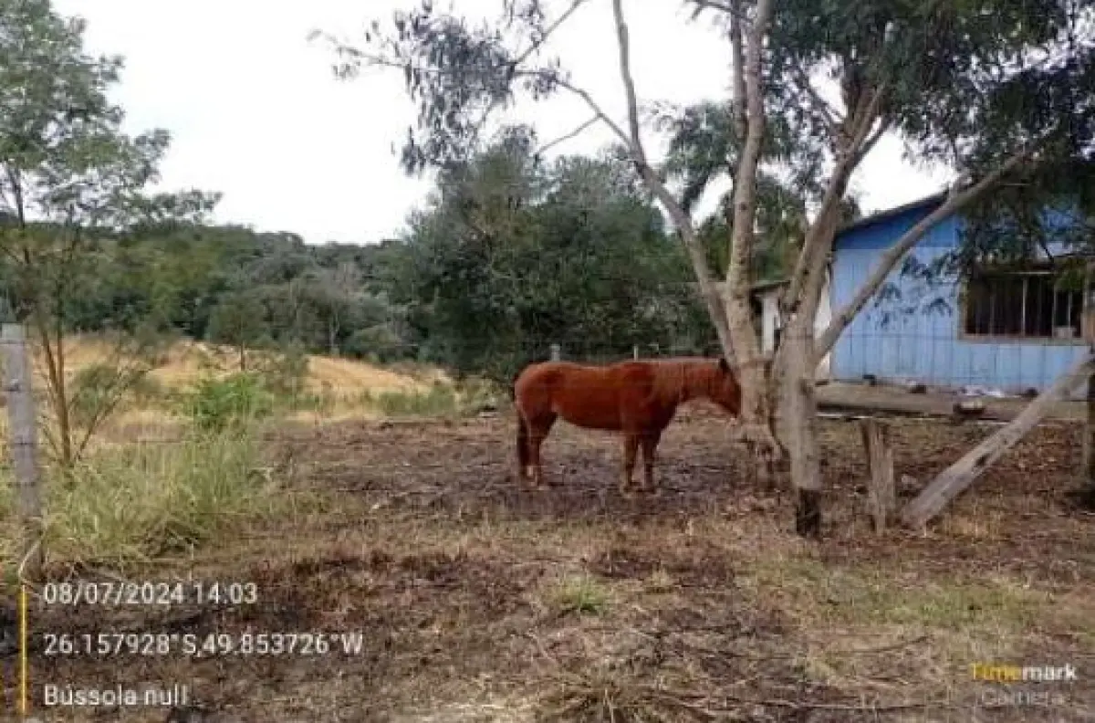 LOTE 0003 - Imóvel 31.632m², na Estrada Geral, S/N,  Vila Nova, Mafra/SC.