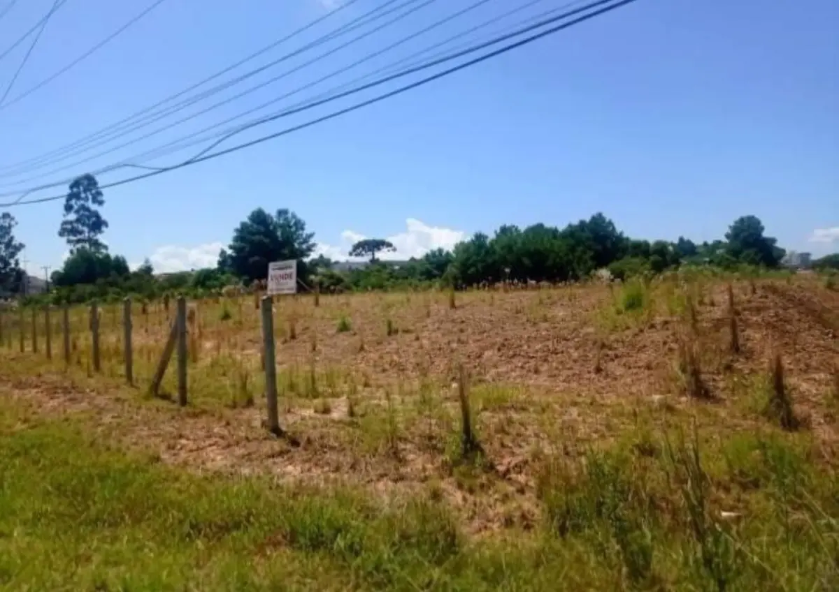 LOTE 0008 - Imóvel de 15.582,69 m², localizado na Rodovia BR-280, S/N, Bairro Bela Vista, em Rio Negrinho/ SC