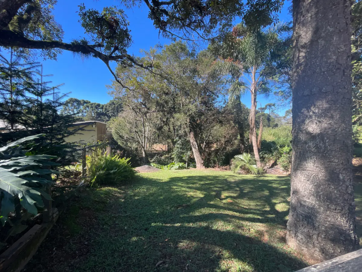 LOTE 0005 - Imóvel de 3.718,95 m², Rua Jose Robel, S/N - COLONIAL - SÃO BENTO DO SUL