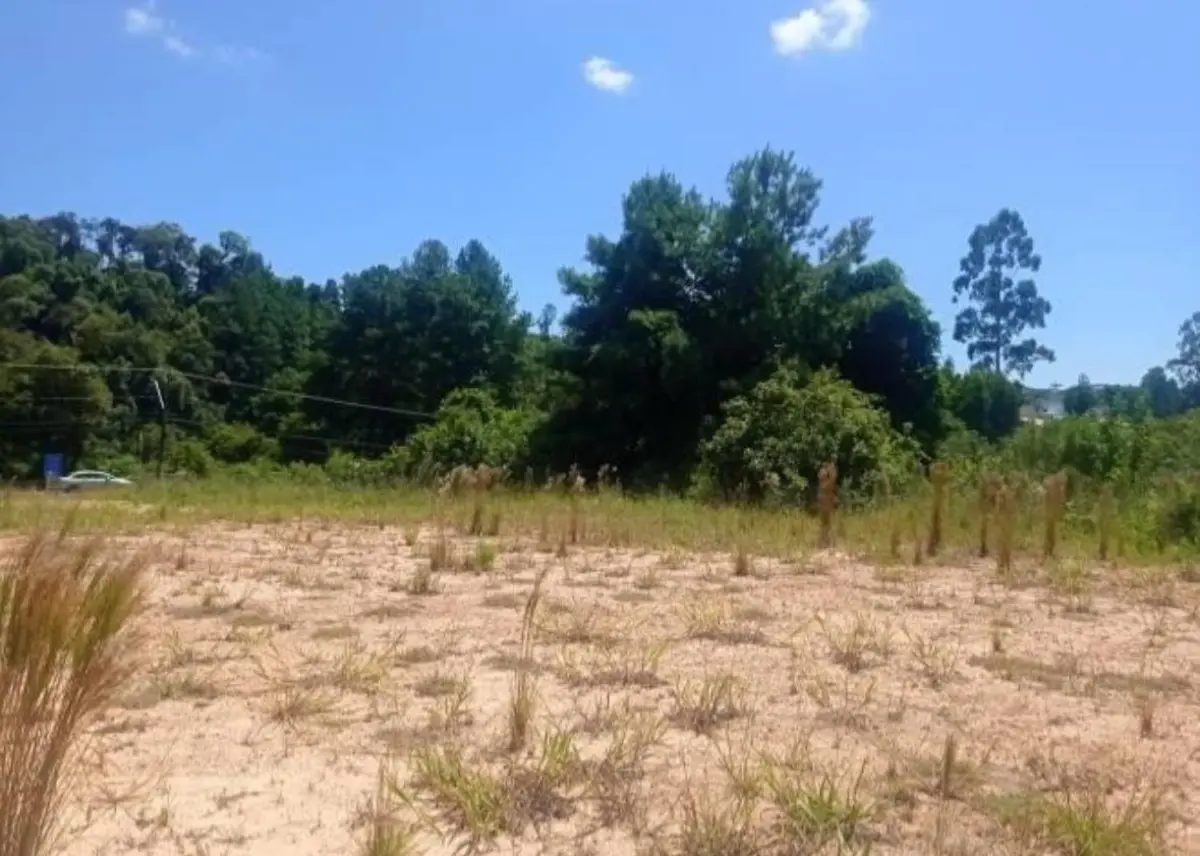LOTE 0008 - Imóvel de 15.582,69 m², localizado na Rodovia BR-280, S/N, Bairro Bela Vista, em Rio Negrinho/ SC