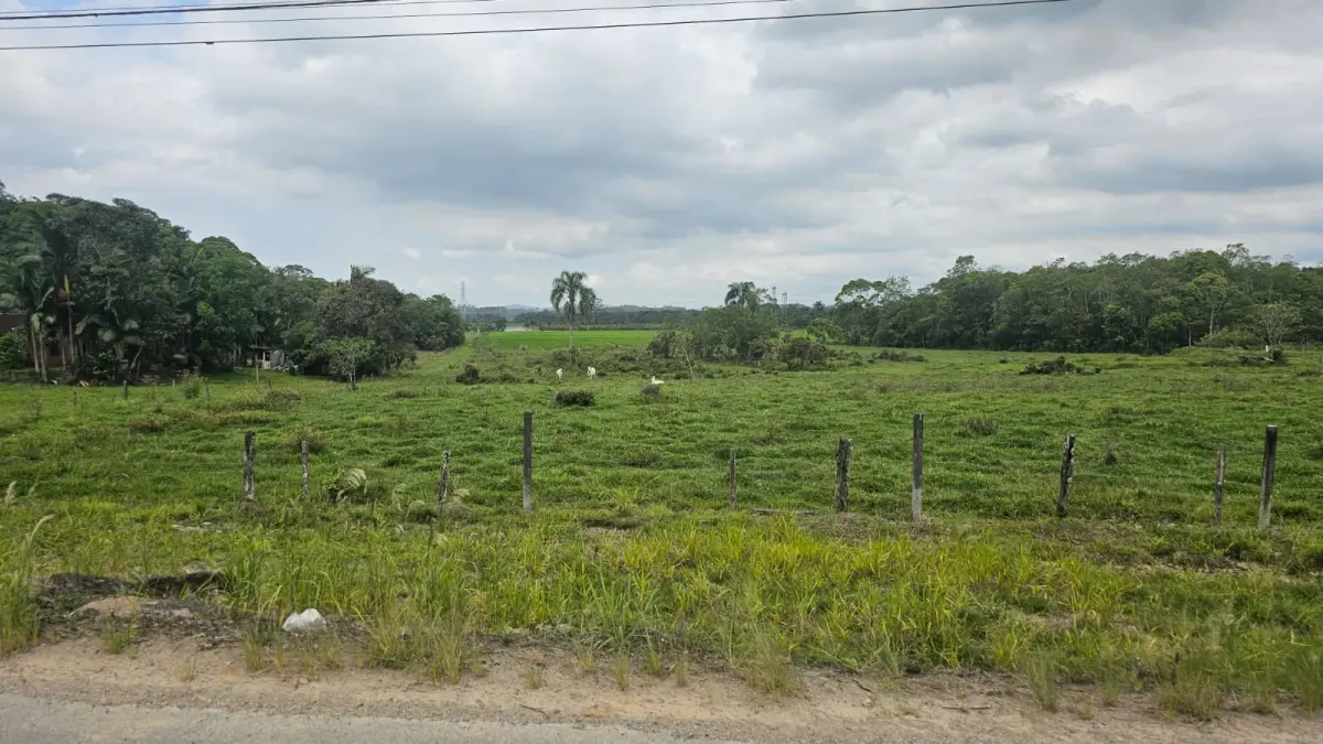 LOTE 010 - Terreno de 20.020,00 m², na Rodovia do Arroz, Joinville/SC