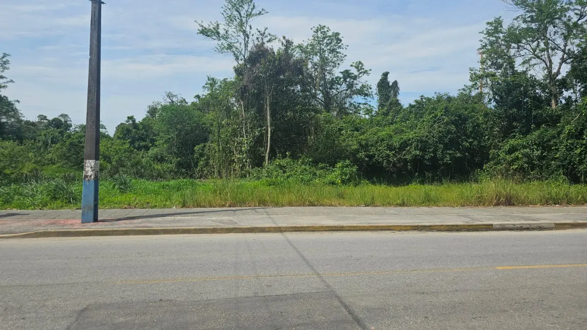 LOTE 006 - Terreno Urbano de 870,00 m2 na Rua Affonso Eugênio Welter, Araquari/SC.