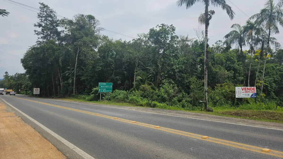 LOTE 009 - Terreno de 25.000 m2 as margens BR 280, bairro Nereu Ramos, Jaraguá do Sul - SC