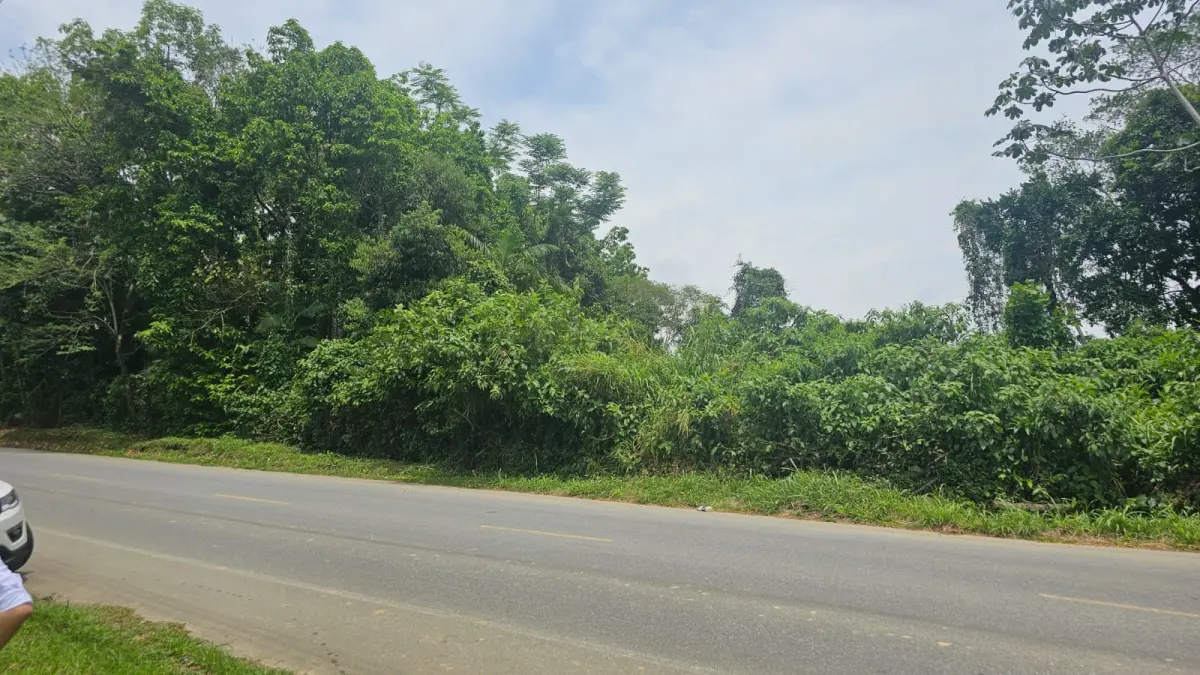 LOTE 003 - Dois imóveis Urbanos, na Estrada do Bananal, Guaramirim/SC.