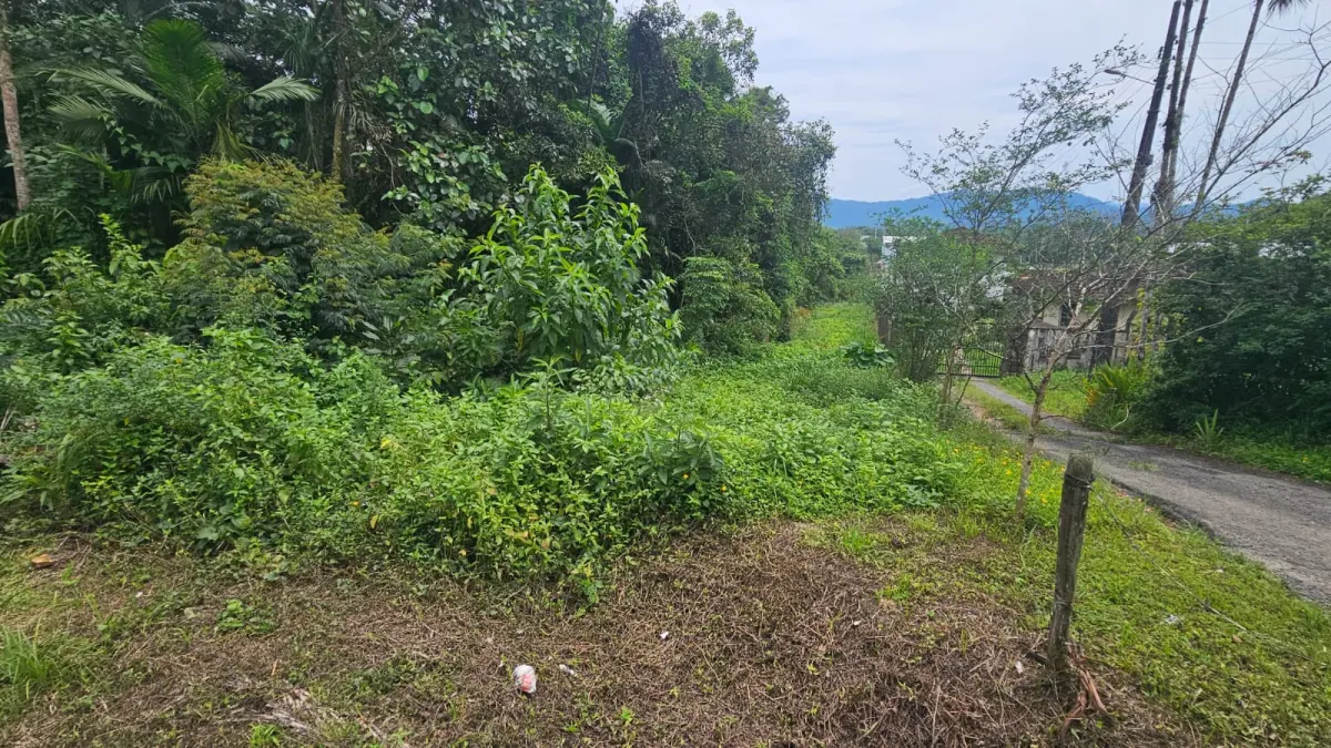 LOTE 009 - Terreno de 25.000 m2 as margens BR 280, bairro Nereu Ramos, Jaraguá do Sul - SC