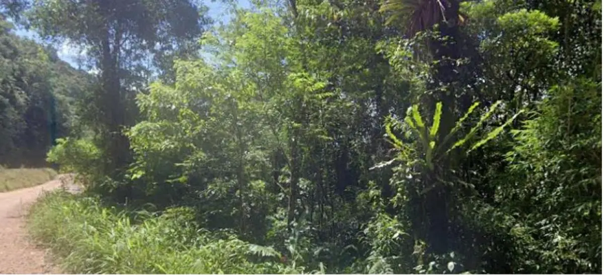 LOTE 002 - Área rural de Mata Fechada, com 614.300,00 m², na Estrada Rio Natal (Humboldt), São Bento do Sul - SC