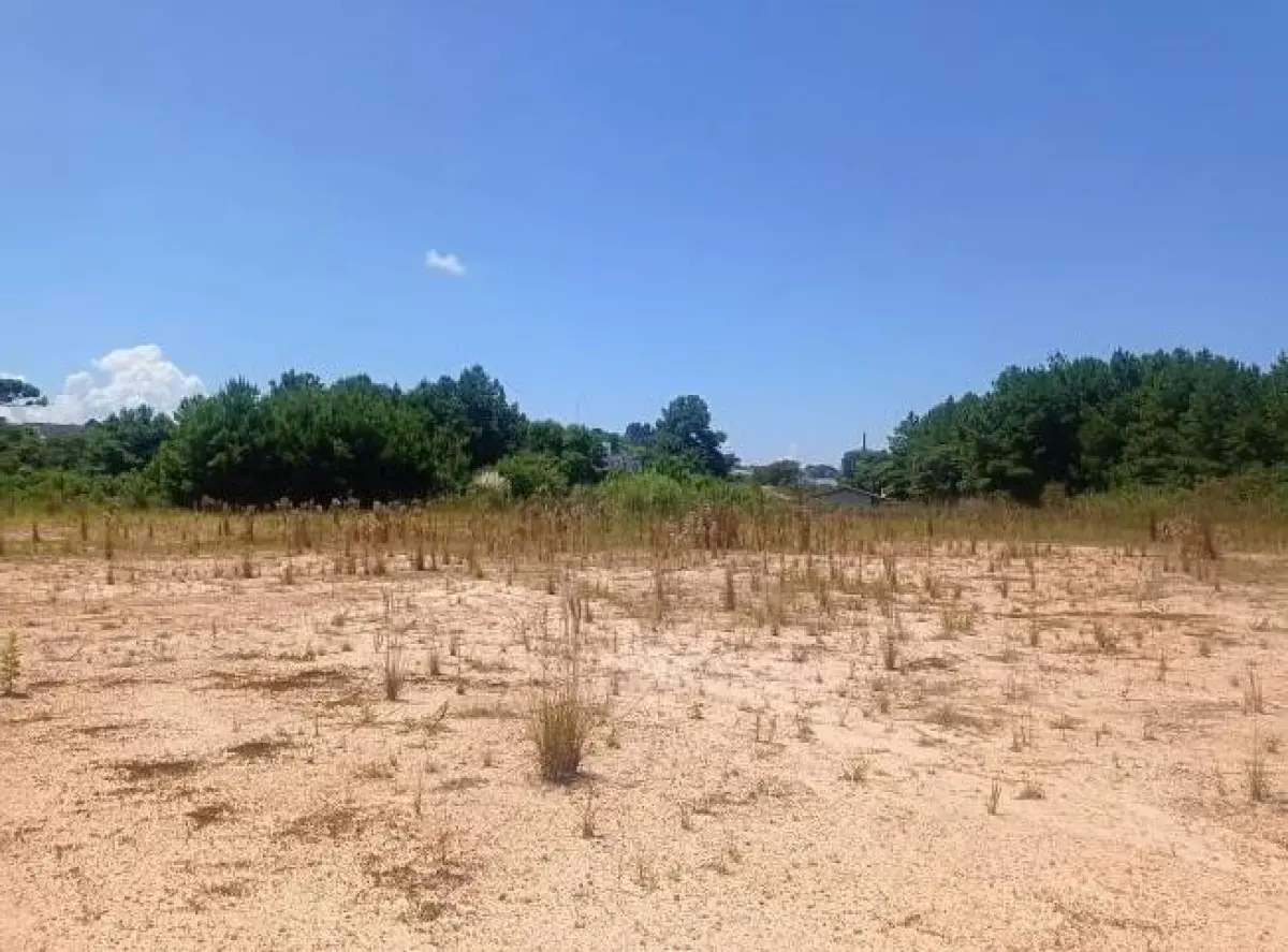 LOTE 002 - Terreno 15.582,69 m², na Rodovia BR-280, S/N, Bairro Bela Vista, em Rio Negrinho/ SC.