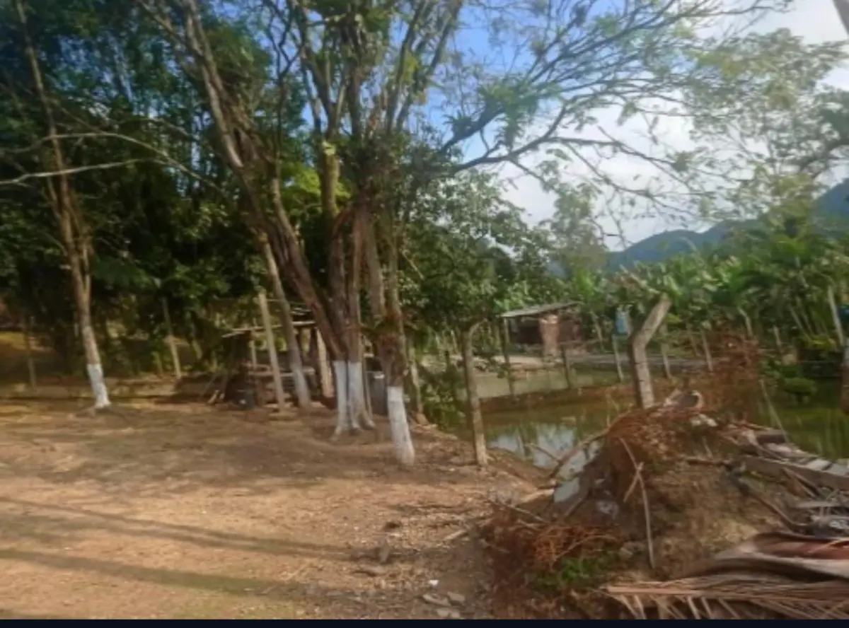 LOTE 003 - Imóvel na Rua Joachim Parey, nº 240, no bairro Pedra de Amolar, em Corupá/SC,