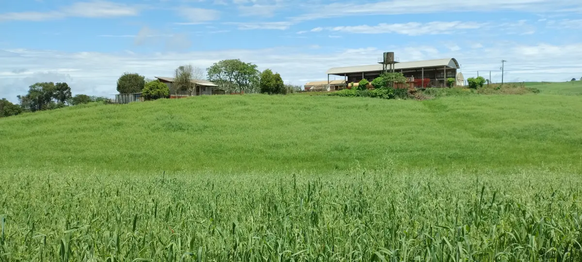 LOTE 000 - Imóvel Rural 1.326.726,40m², na Fazenda Liberata, Fraiburgo/SC