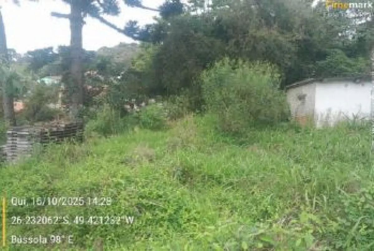 LOTE 031 - Imóvel 732,000 m², localizado na Rua Emílio Weber, S/N, Bairro Colonial, na cidade de São Bento do Sul - SC,