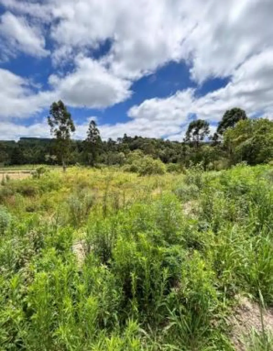 LOTE 001 - Terreno de 1.750,00 m², na RODOVIA EDGARD ANDRADE GOMES, 700, Guamirim, em IRATI / SC,