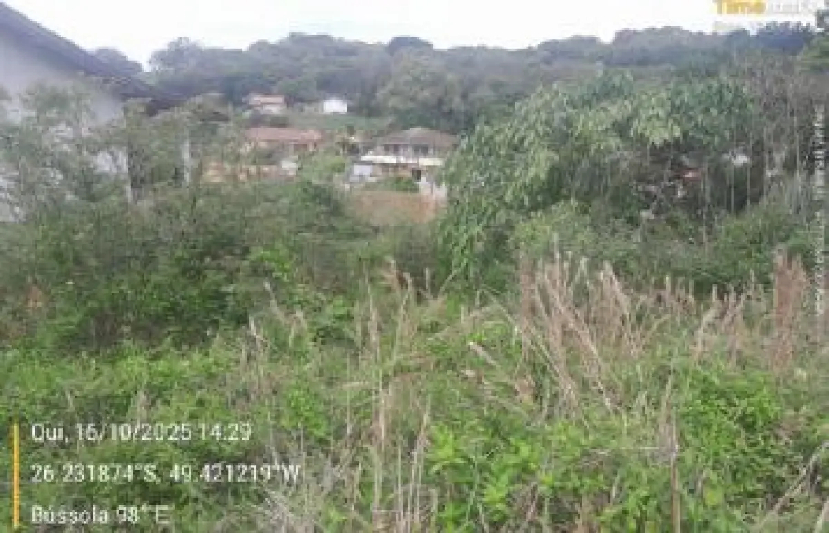 LOTE 031 - Imóvel 732,000 m², localizado na Rua Emílio Weber, S/N, Bairro Colonial, na cidade de São Bento do Sul - SC,