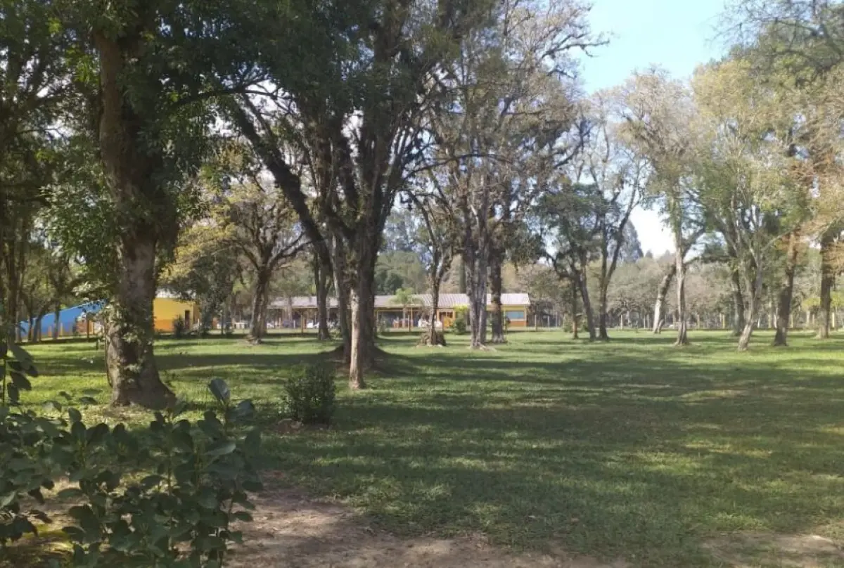 LOTE 001 - Terreno de 9,68 ha, Localidade de Retiro, S/N, Vargem Grande, Zona Rural, em São Mateus do Sul/PR