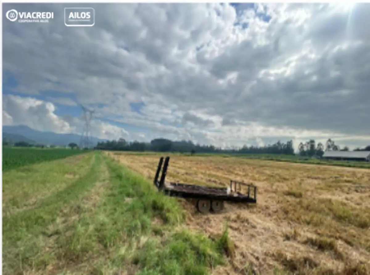 LOTE 001 - Terreno 2,904000 ha, localizado na Rua Joaquim Alves de Andrade, S/N, -, Poço Grande (Interior), em Gaspar/SC