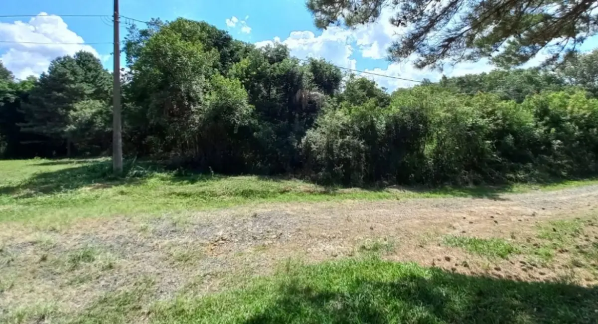 Imóvel 18.242,00m², situado na rua roberto ferreira de lima, fundos, comarca de rio negrinho.