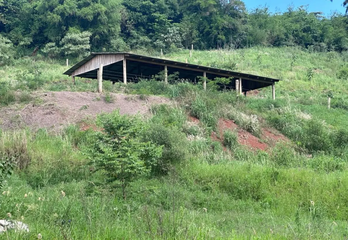 LOTE 001 - Parte do lote rural nº 10, da Fazenda Saudades, 210.000,00m², na cidade de Santiago do Sul/SC