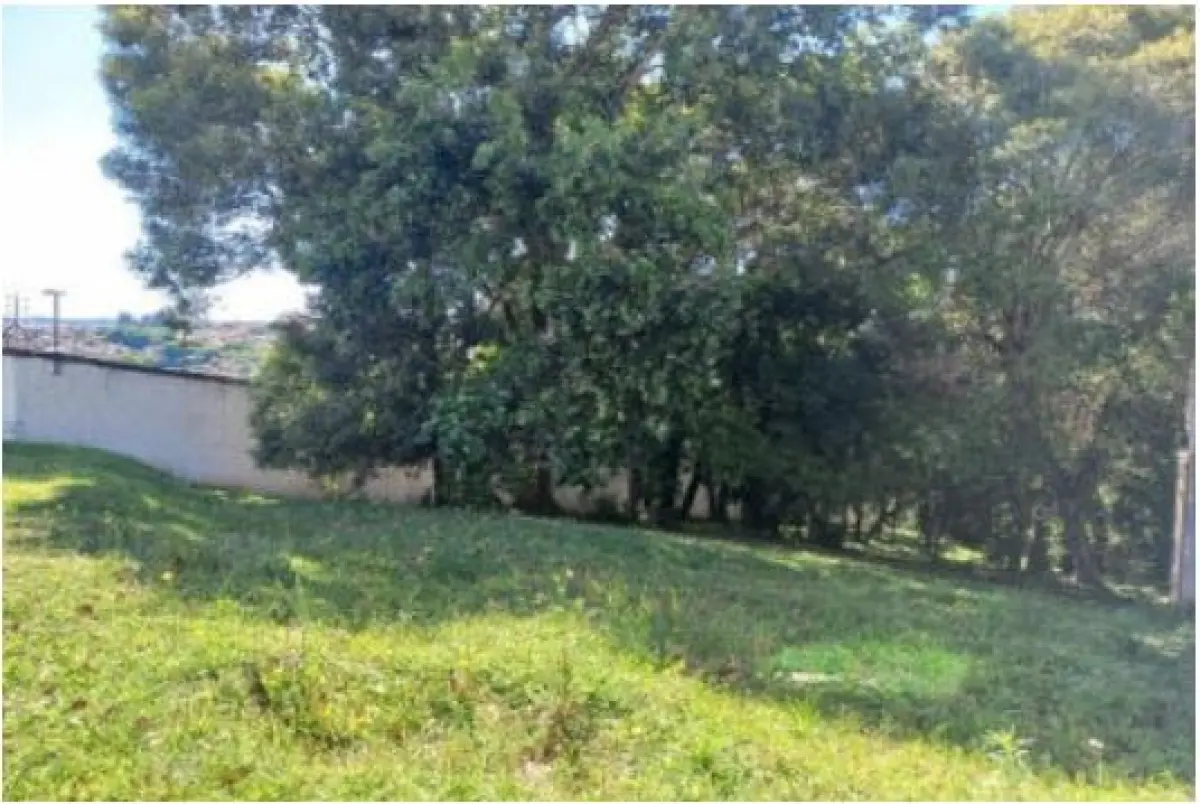 LOTE 011