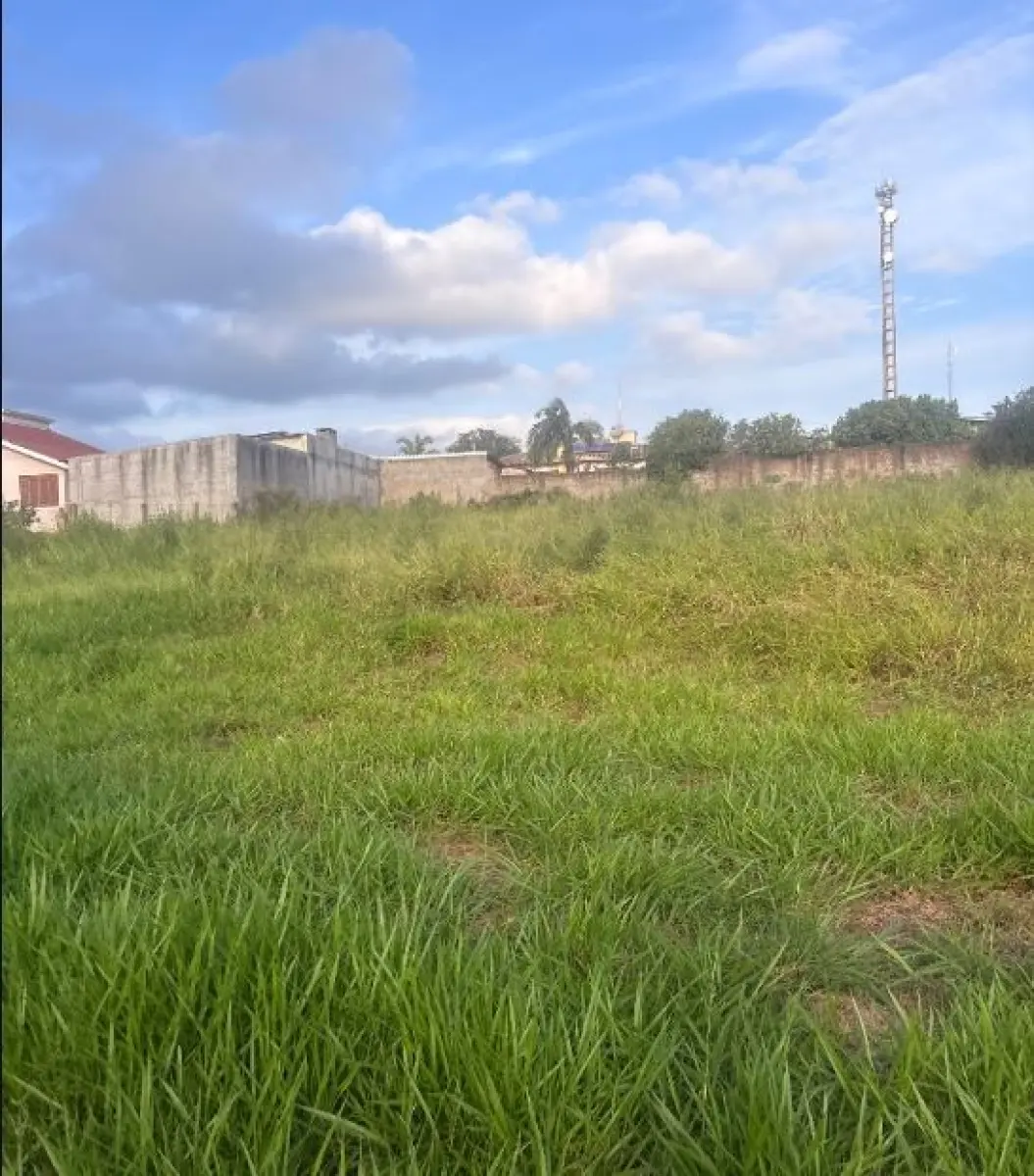 LOTE 001 - Terreno de 1.485,42 m², situado na rua Padre Cristóvão de Mendonça, S/Nº, São Miguel das Missões