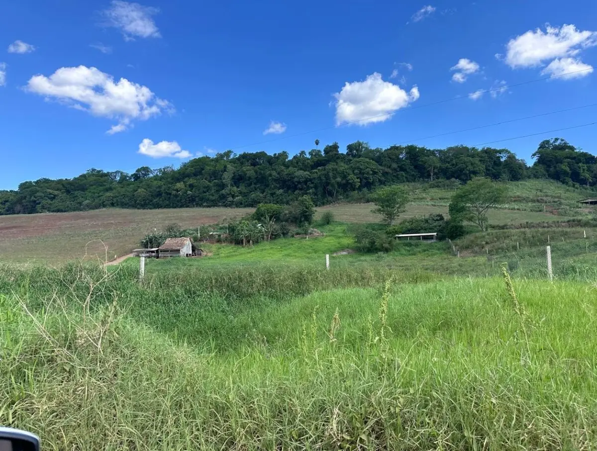 LOTE 001 - Parte do lote rural nº 10, da Fazenda Saudades, 210.000,00m², na cidade de Santiago do Sul/SC