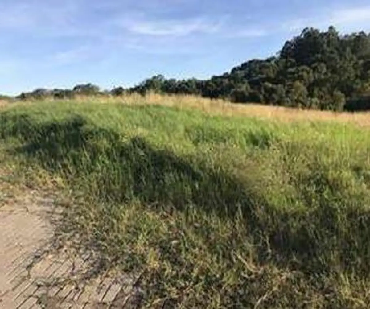 LOTE 002 - Terreno de 456,40 m², situado na esquina entre a avenida Batista Bonoto Sobrinho e rua Olavo Bilac, S/Nº, lote nº 37, bairro São Vicente, cidade de Santiago/RS