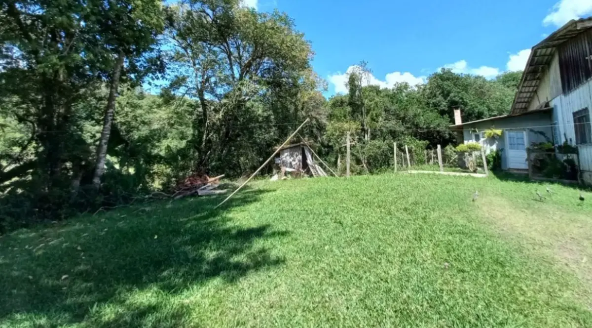 miniatura-2
