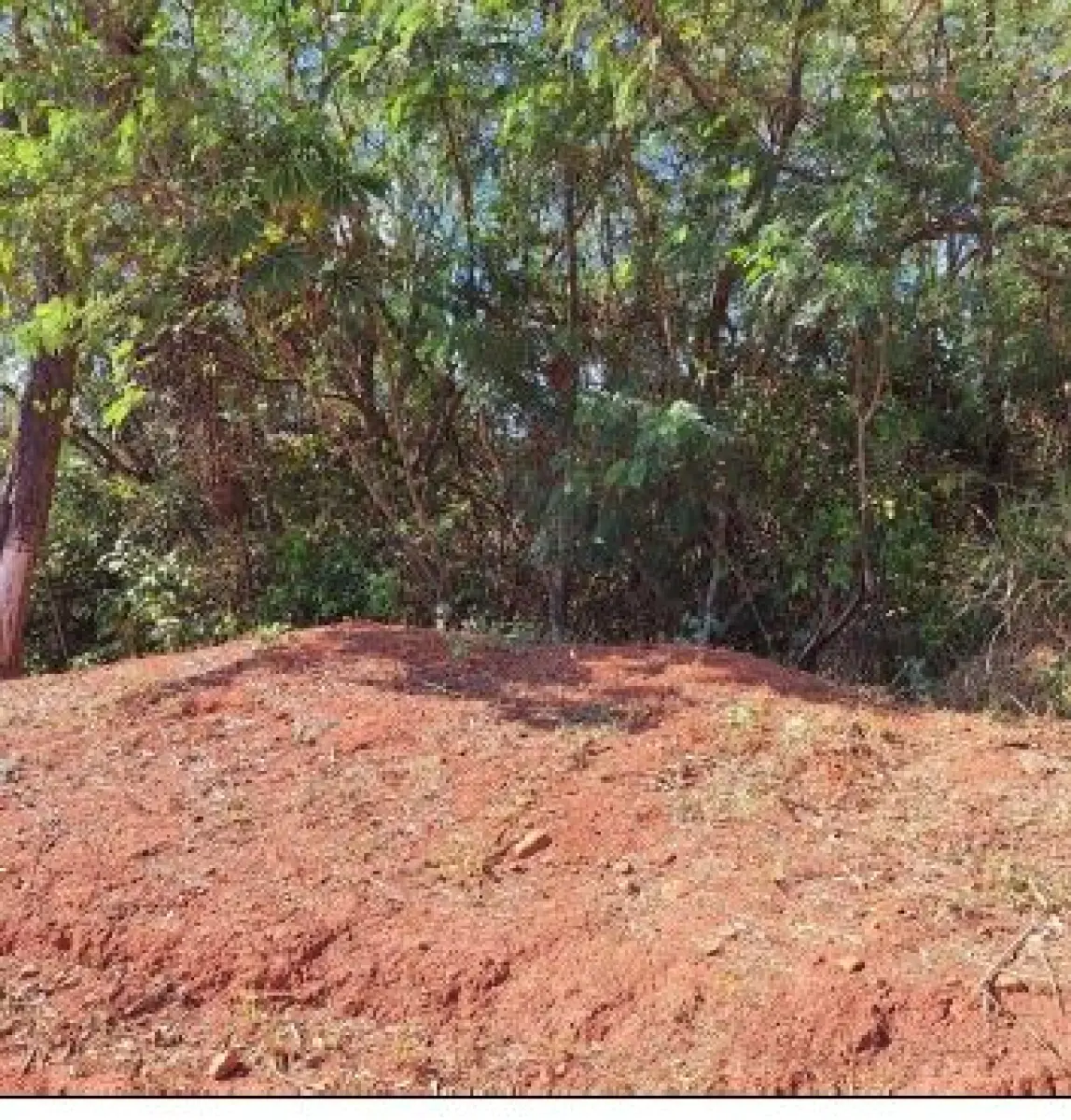 LOTE 006 - Terreno 250,00 m², Rua Pinheiro, S/N, Lote nº 33, da Quadra 08, no loteamento Residencial Conquista, Residencial Conquista, em Itaguari/GO,