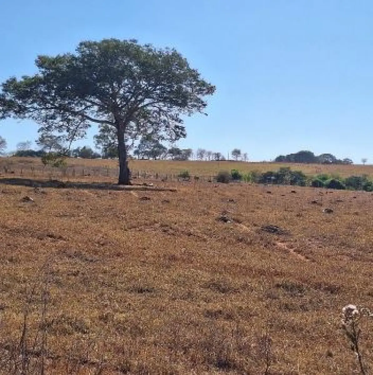 LOTE 007 - Terreno 250,00 m²,  na Rua Paineira, S/N, Lote nº 09, da Quadra 06, no loteamento Residencial Conquista, Residencial Conquista, em Itaguari/GO