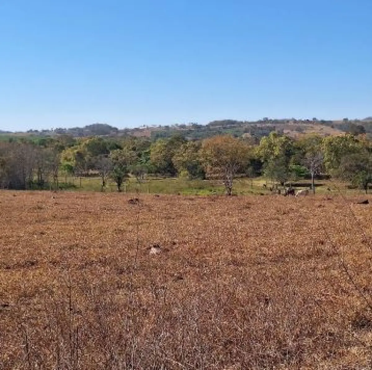 LOTE 007 - Terreno 250,00 m²,  na Rua Paineira, S/N, Lote nº 09, da Quadra 06, no loteamento Residencial Conquista, Residencial Conquista, em Itaguari/GO