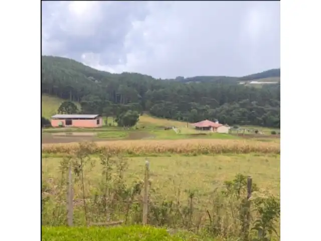 Leilão 2ª Cível de Campos Novos- Terreno rural 186.855m², LINHA RIO BUGRE, 0, INTERIOR, Caçador/SC - 89500000