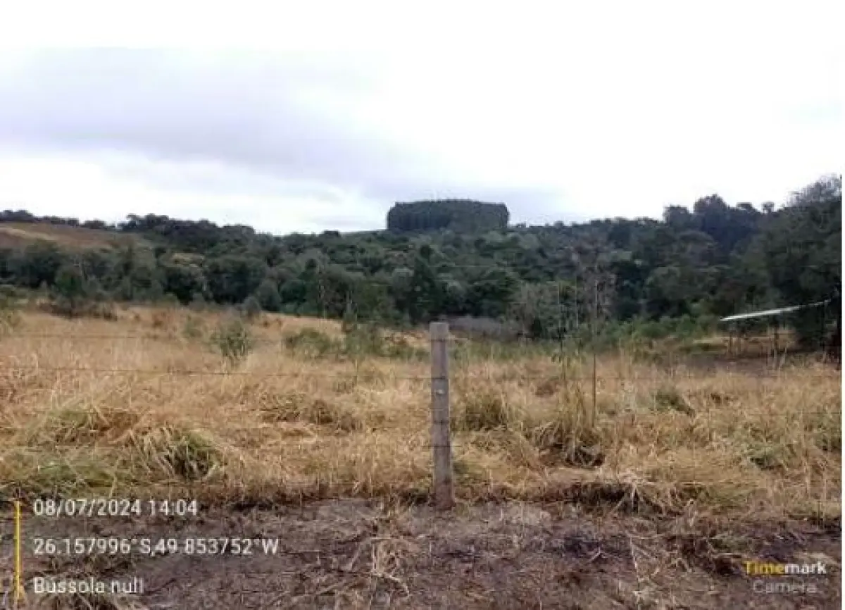 LOTE 0003