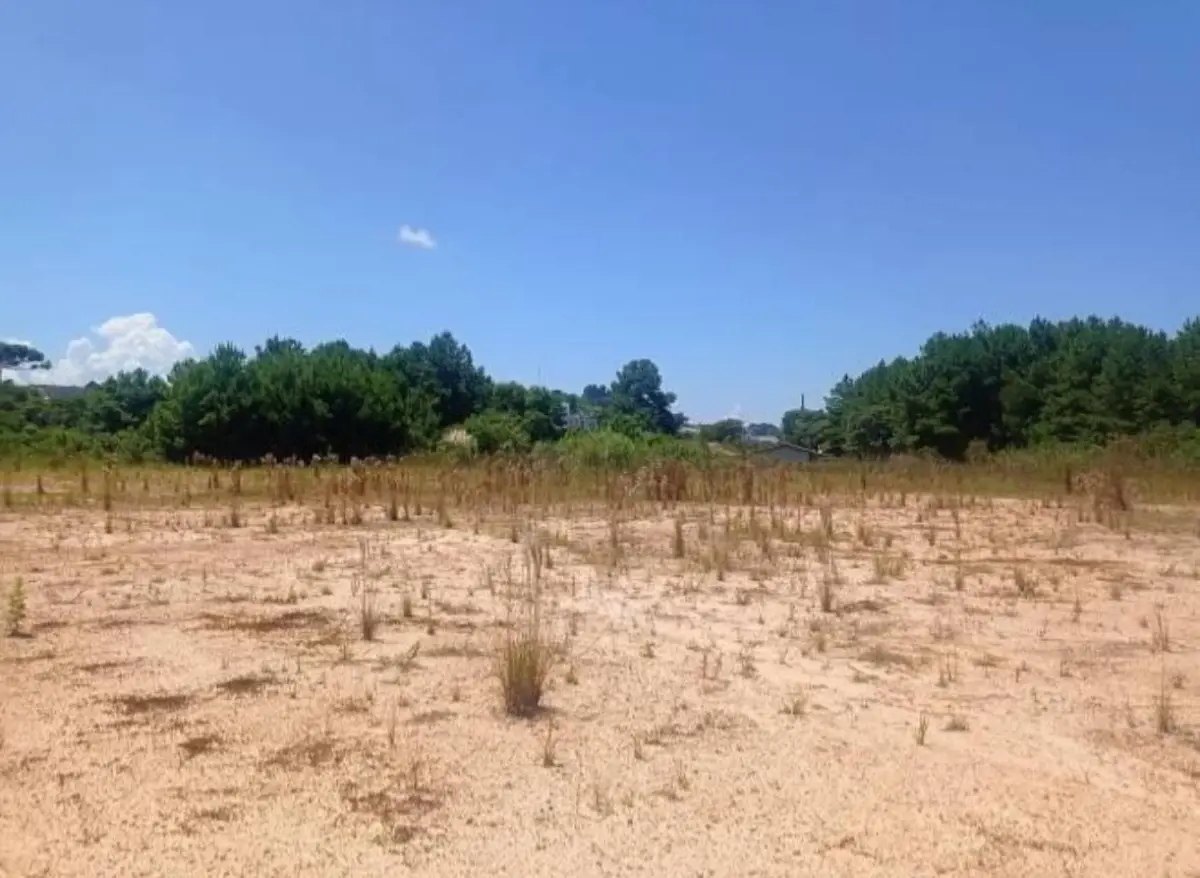 LOTE 0008 - Imóvel de 15.582,69 m², localizado na Rodovia BR-280, S/N, Bairro Bela Vista, em Rio Negrinho/ SC
