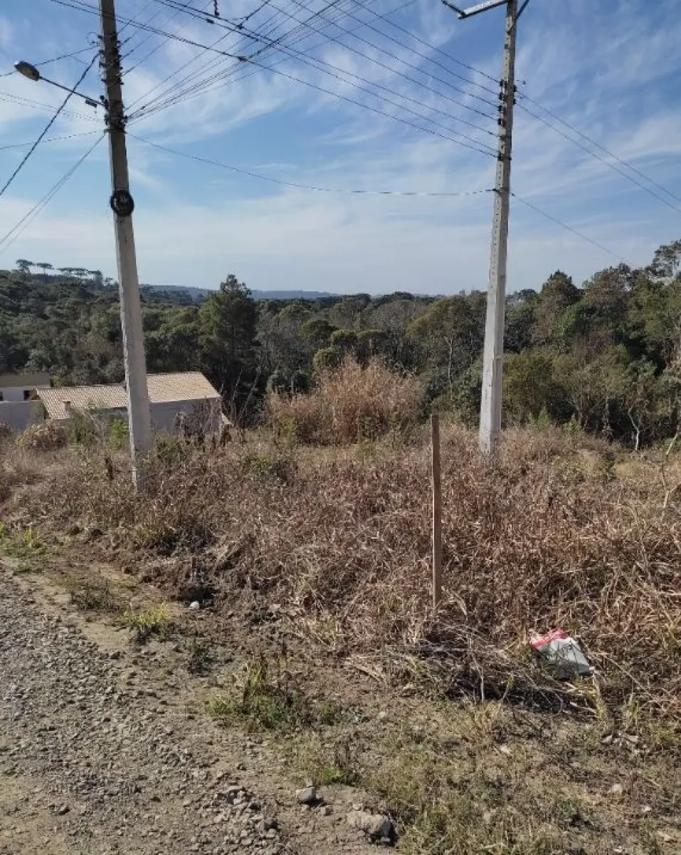 LOTE 001 - Imóvel de 11.640,40m², Cento II Alto de Mafra,  MAfra/SC.