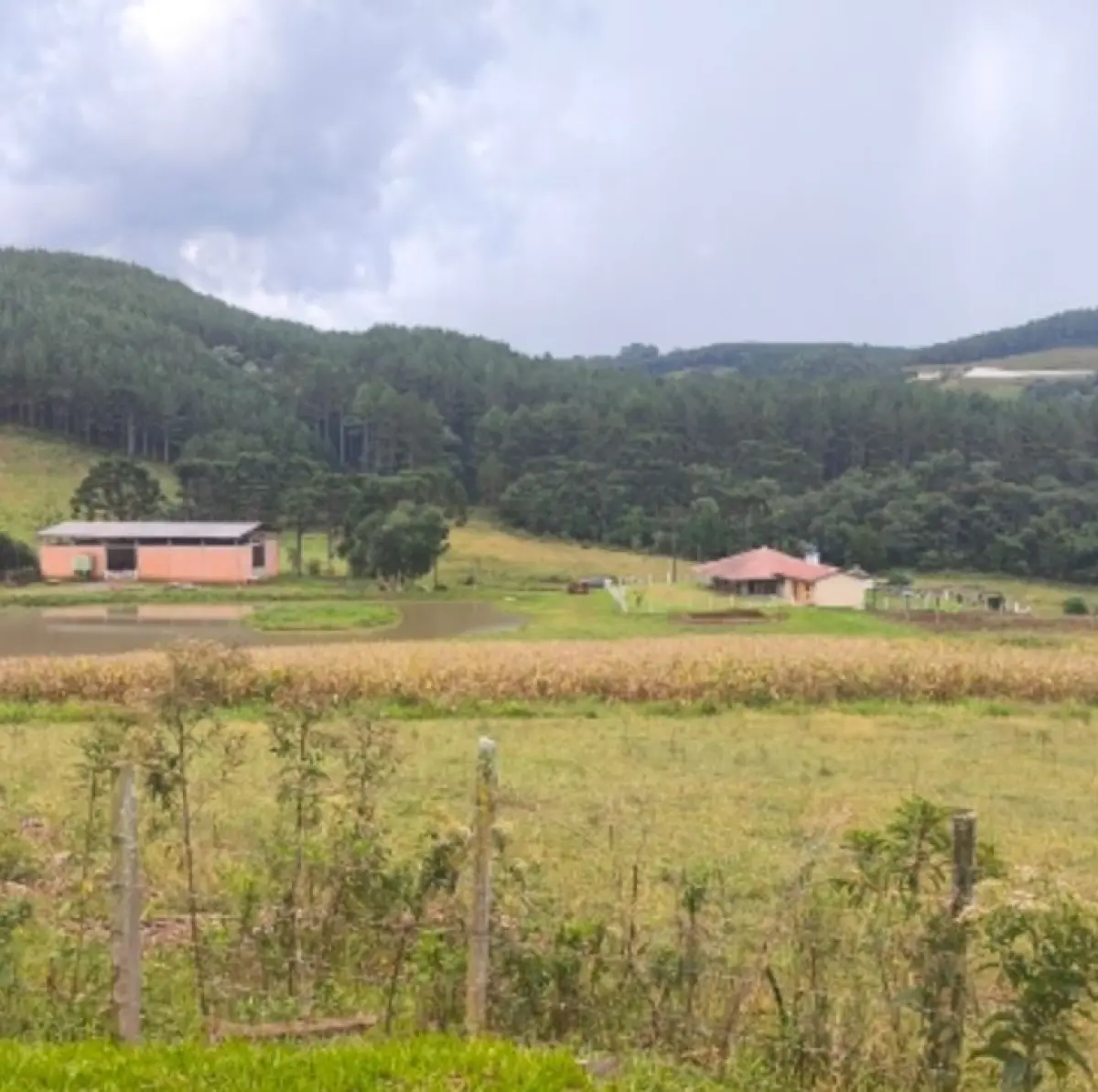 LOTE 001 - Terreno rural 186.855m², LINHA RIO BUGRE, 0, INTERIOR, Caçador/SC - 89500000