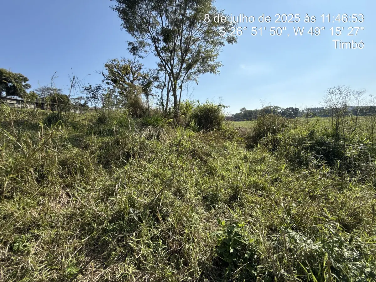 LOTE 001 - Imóvel 4.725m2 na Rua Blumenau, S/N, Araponguinhas, Timbó/SC.