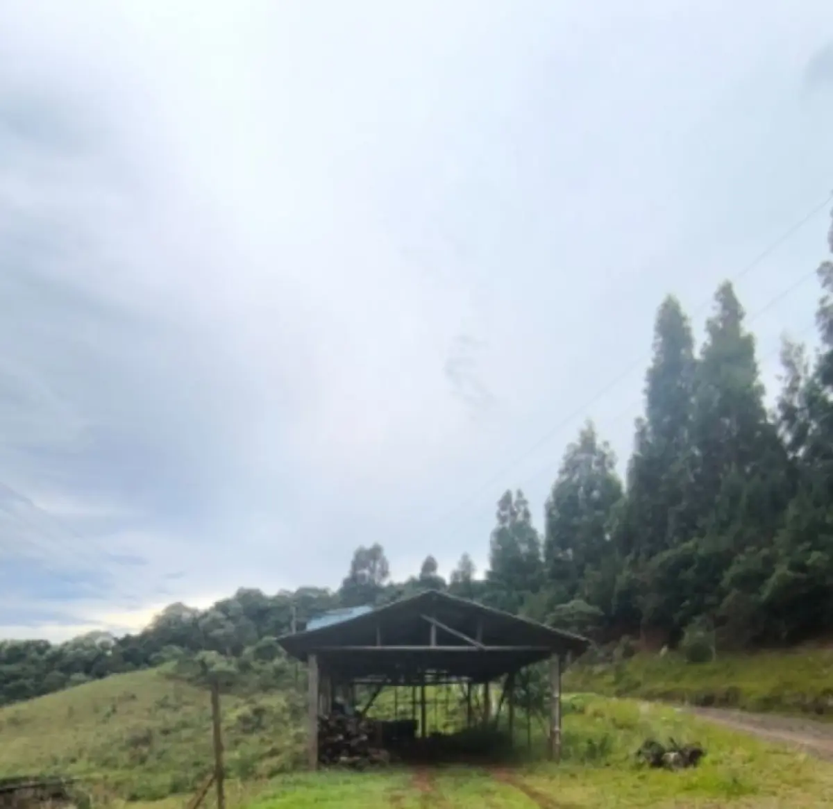 LOTE 001 - Terreno rural 186.855m², LINHA RIO BUGRE, 0, INTERIOR, Caçador/SC - 89500000