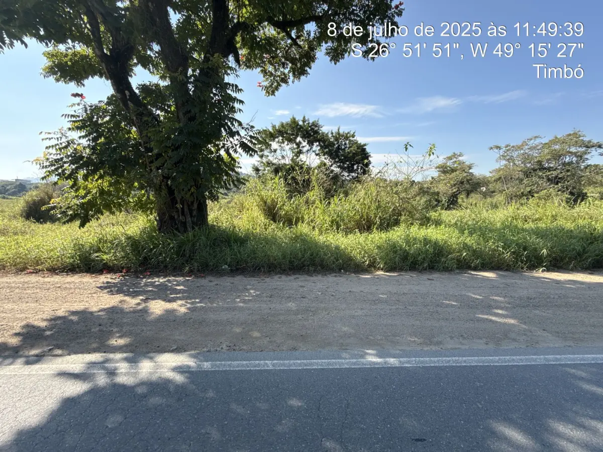 LOTE 001