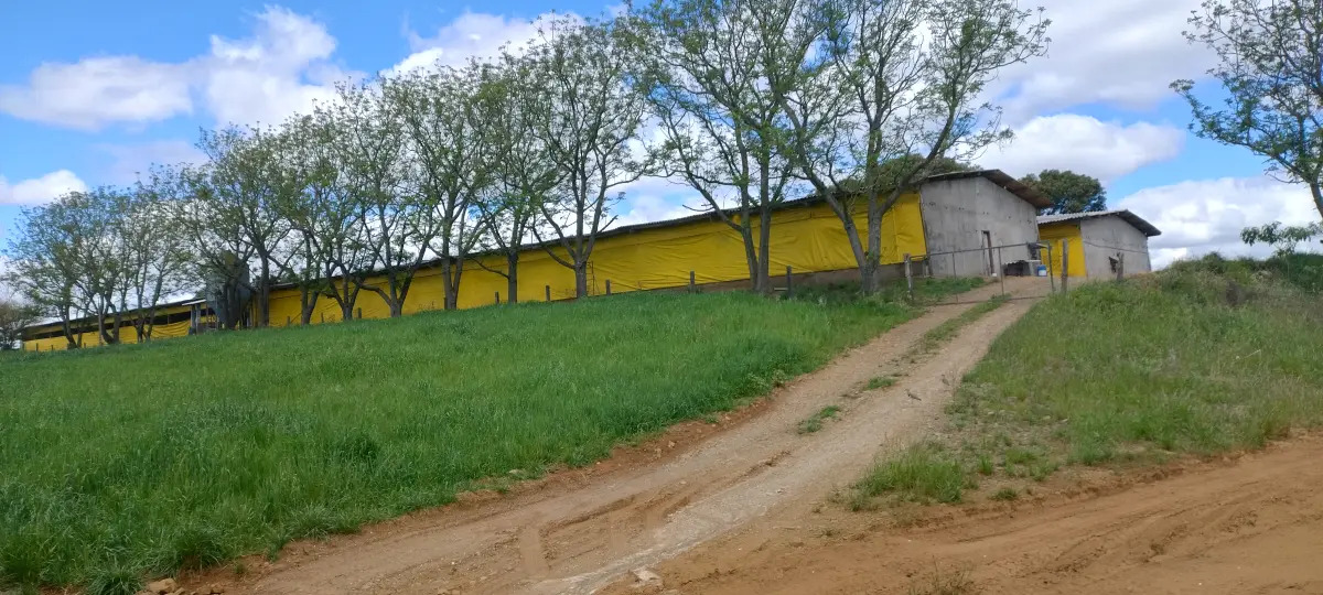 LOTE 000 - Imóvel Rural 1.326.726,40m², na Fazenda Liberata, Fraiburgo/SC