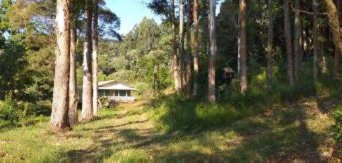 LOTE 032 - Terreno 8,9813 ha, localizado na Colônia Nova Galícia, s/n, na Zona Rural de Porto União/SC.