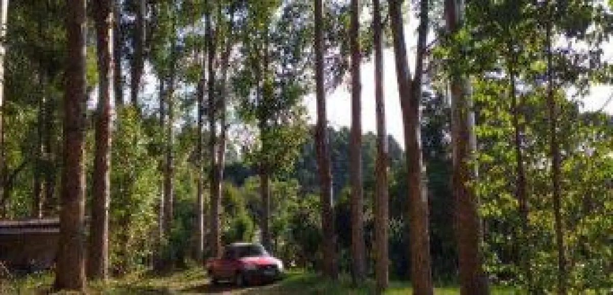 LOTE 032 - Terreno 8,9813 ha, localizado na Colônia Nova Galícia, s/n, na Zona Rural de Porto União/SC.