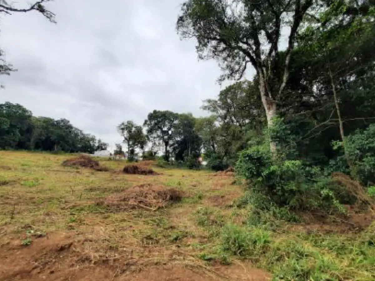 LOTE 001 - Dois imóveis em Rio Negrinho/Sc.