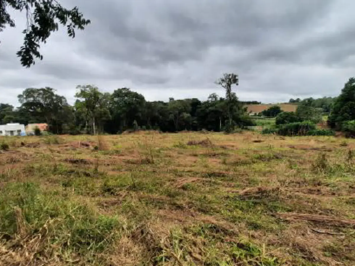LOTE 001 - Dois imóveis em Rio Negrinho/Sc.