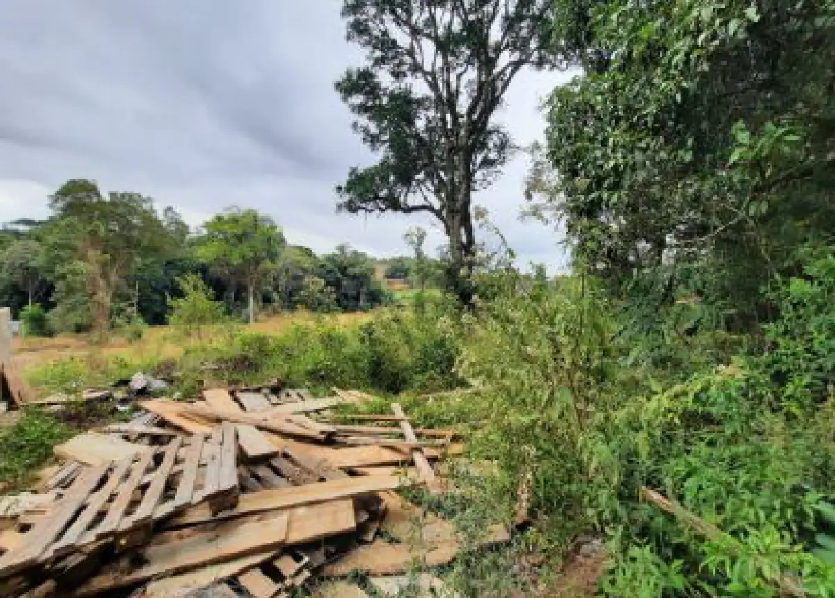 LOTE 001 - Dois imóveis em Rio Negrinho/Sc.