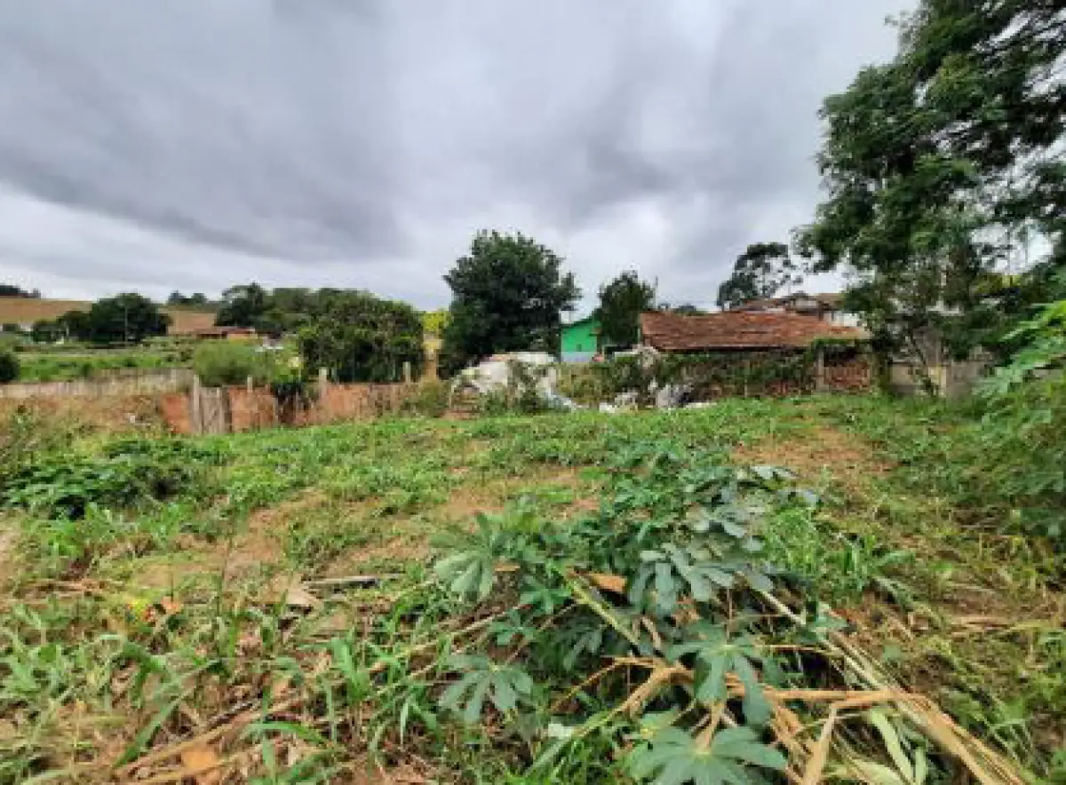 LOTE 001 - Dois imóveis em Rio Negrinho/Sc.