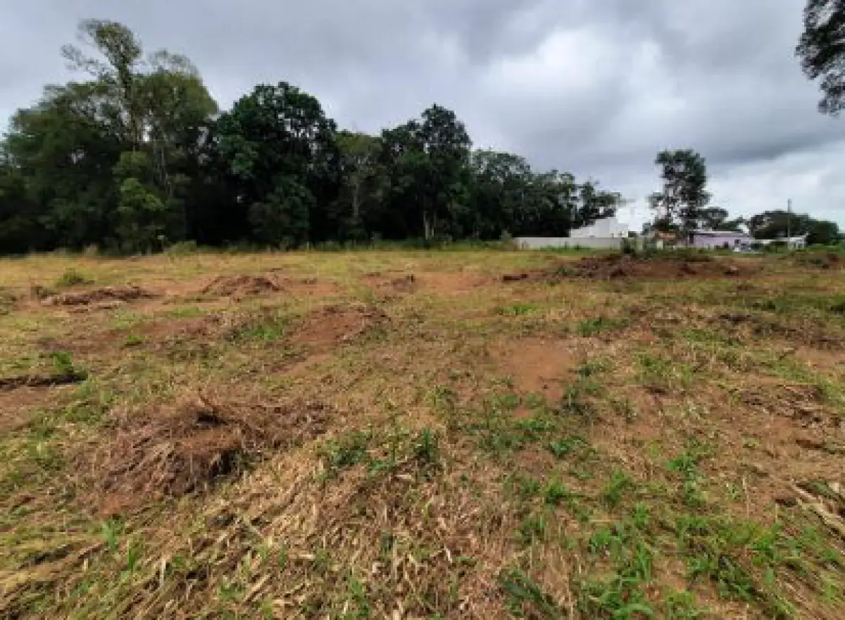 LOTE 001 - Dois imóveis em Rio Negrinho/Sc.